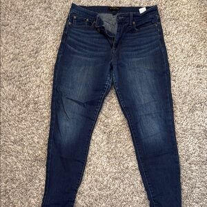 Banana Republic Factory Blue Skinny Jeans
